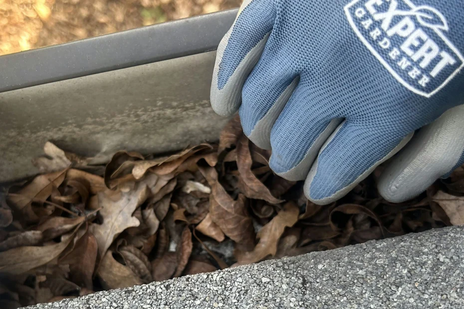 Gutter Cleaning Chapel Hill NC